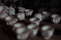 24_dsc02291.gif