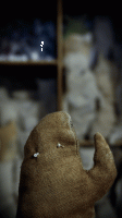 24_dsc02298.gif