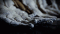 24_dsc02307.gif