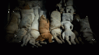 24_dsc02356.gif