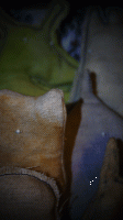 24_dsc02358.gif