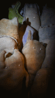 24_dsc02359.gif